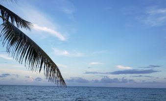 Pal's on the Beach - Dangriga, Belize