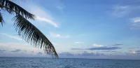 Pal's on the Beach - Dangriga, Belize Hotels in Dangriga