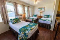 Kauai Palms Hotel Các khách sạn ở Kapaa