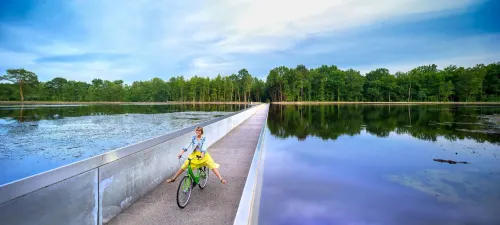 복리즈크-가스토프