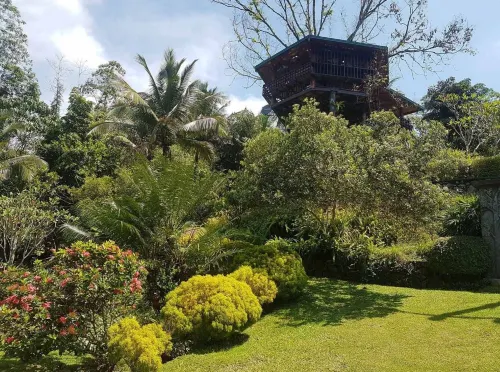 特韋尼假日度假村