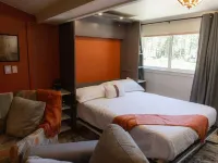 Ascend Remodeled Condo, Snow Fun, Ski in Condo at Bear Valley Mountain Resort Hotels in Bear Valley