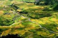 Ngoc Thuy Homestay Mu Cang Chai
