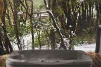 NI-Newen Hotel & Lodge - spa