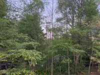 Cedar Lodge, serene all wood escape in Blue Ridge