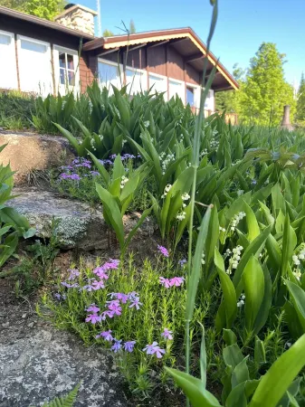 Rustic chalet - directly on the lake with sandy beach Отели в г. Антуан-Лабель