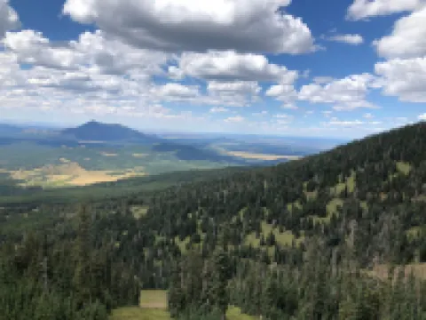 Artist's Studio wake up in the Ponderosa Pines. Grand Canyon, Sedona, Flagstaff. 卡馳納山莊酒店