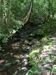 A Mountain Paradise on Collett Creek in Andrews, NC