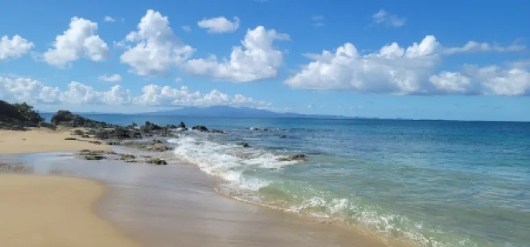 Tiny house on an acre with ocean view and private infinity pool.