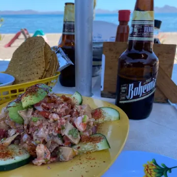 Casa Fresca by the lap pool