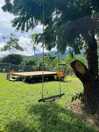Live Tropical like a local , El Yunque Rainforest View, Mountain View