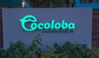 Cocoloba Deluxe 1- Beach front casita steps from the beach and Popular Beach Bar