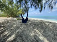 Escape to the Beach at Ocean Oasis: Unwind & Relax in this Premier Beach House Hotels in Rolleville