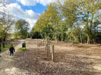 Light-flooded apartment with private sauna! Beach walking distance, with dog!