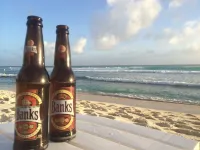Beachfront Apartment at Dover Beach, St Lawrence