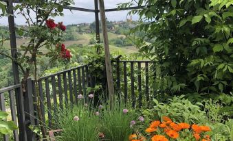 Agriturismo I Surì Asti