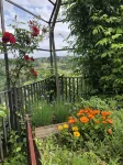 Agriturismo I Surì Asti Hotels in Isola d'Asti