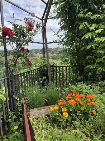 Agriturismo I Surì Asti Отели в г. Асти