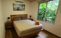 Alloro Jungle Villas - Servicios de Traslado