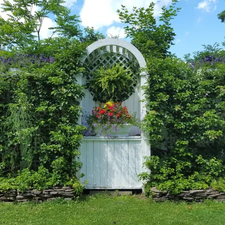 The White House Inn