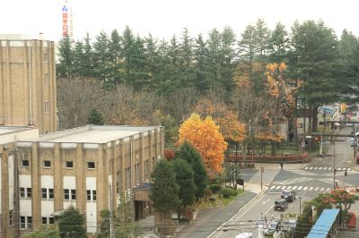 ホテル周辺 北ホテルの写真