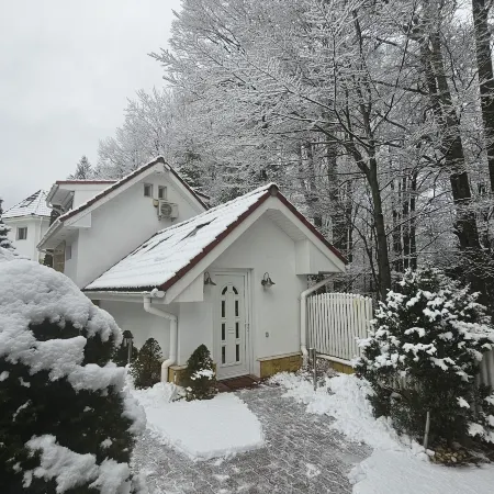 Boutique Hotel Forest Retreat