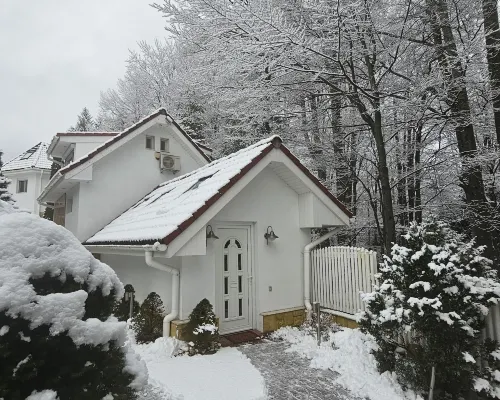 Boutique Hotel Forest Retreat Hotels in Busteni