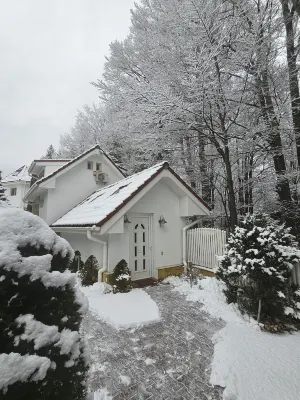 Boutique Hotel Forest Retreat