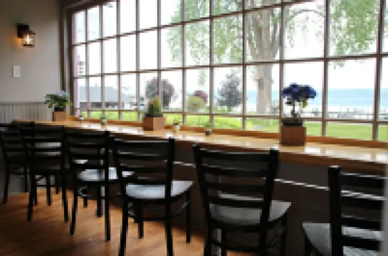 플럼 포인트 로지