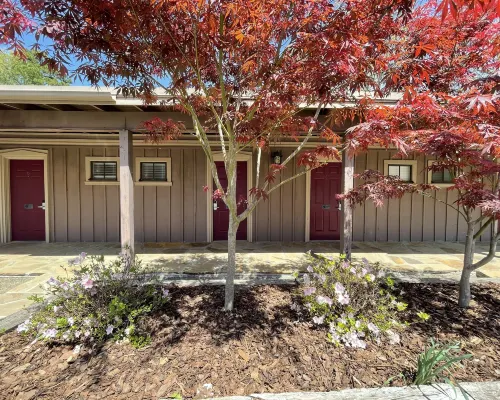 Mountain Harbor King Guest Room on Lake Ouachita Hotels in Montgomery County