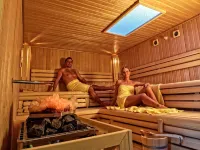 Rebhan's Business Und Wellness Hotel Hotels in Steinwiesen