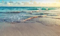 Playa Palmera Beach Resort - ติดทะเล