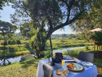 Karongwe - Becks Safari Lodge - Infinity Pools
