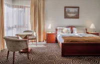 Sándor Hotel - spa