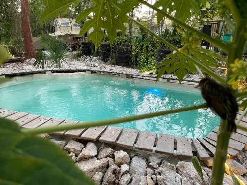 Cozumel Glamping - Homestays