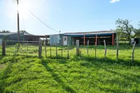 6 Tiny Town Bunk House Tiny Home Animals Fire