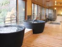Hidatakayama Futarishizuka Hakuun - Varme kilder