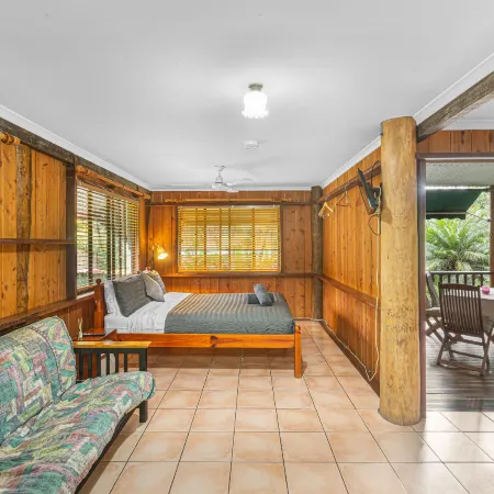 Atherton Blue Gum