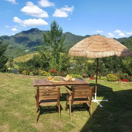 Hongcheon Tree Field