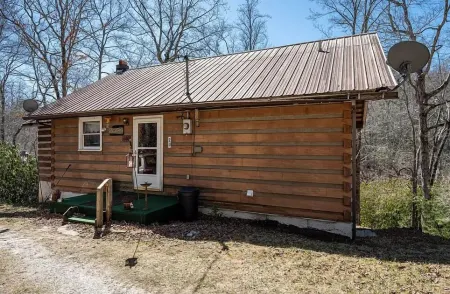 Cozy cabin for 4, 2 King size beds.  Porch with view of lake. Full kitchen.