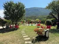 Hotel Restaurant Rose des Pyrénées Hotels in Quillan