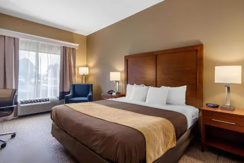 Comfort Inn & Suites Peachtree Corners Hotels in Peachtree Corners