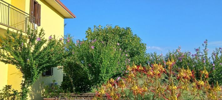 Agriturismo le Quattro Stagioni Hotels in Viterbo