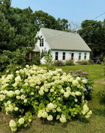 Welcome to Owl House - Your Coastal Retreat in East Boothbay!