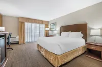 Best Western the Westerly Hotel Hotels in Courtenay