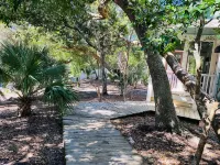 NEW lithium GOLF CARTS, Renovated and newly Furnished Welcome to Palm Paradise