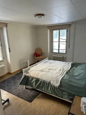 Whole apartment