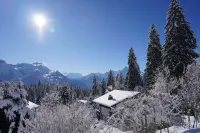 Petit Bijou D'appartement Orienté Sud Avec vue Magnifique sur les Alpes