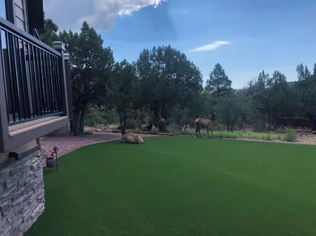 3-bedroom home in Pine-Strawberry with WiFi, fitness room, AC, no pets