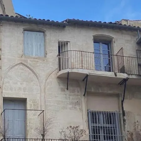 Montpellier Swallow in the heart of Montpellier's historic center